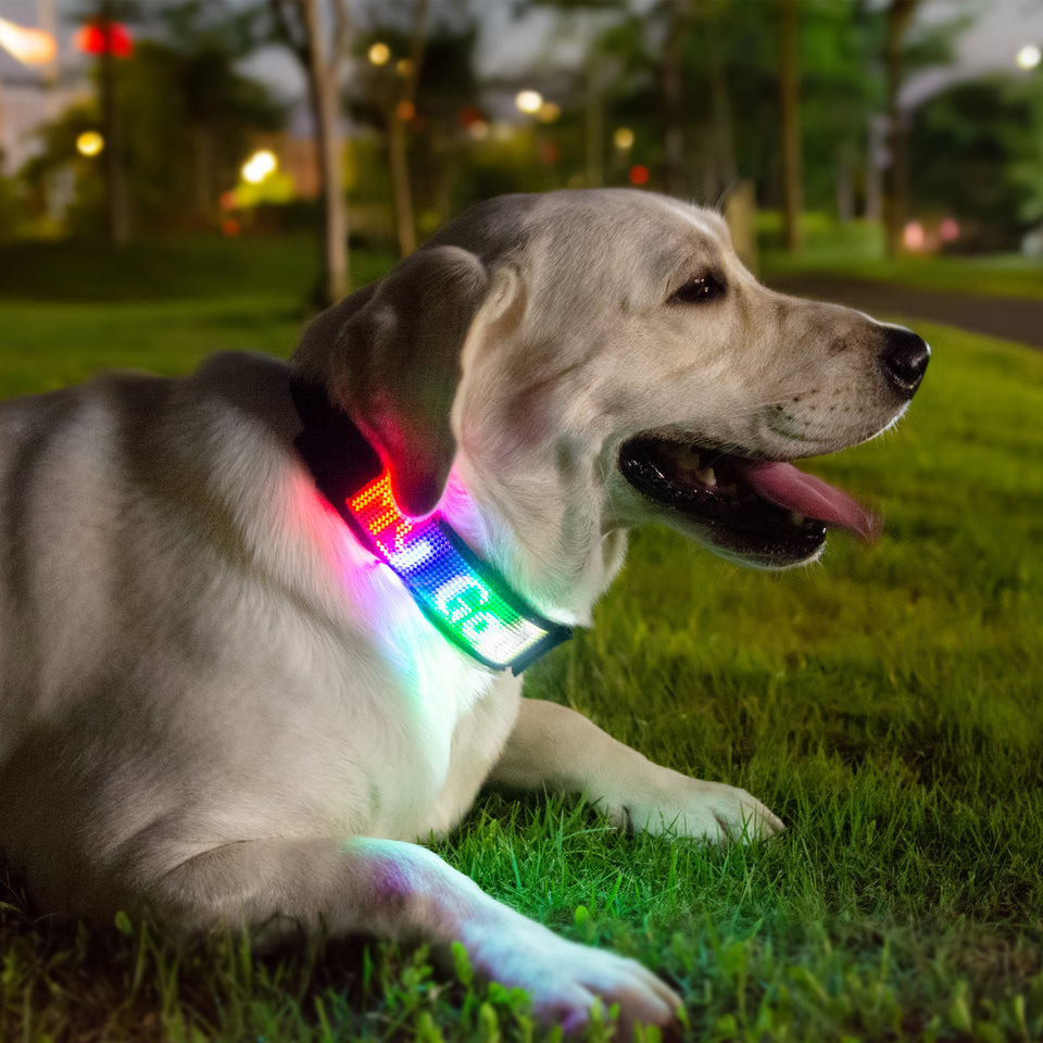 Petluv "Digital Dog" Programmable Scrolling Led Dog Collar