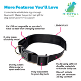 Petluv "Digital Dog" Programmable Scrolling Led Dog Collar